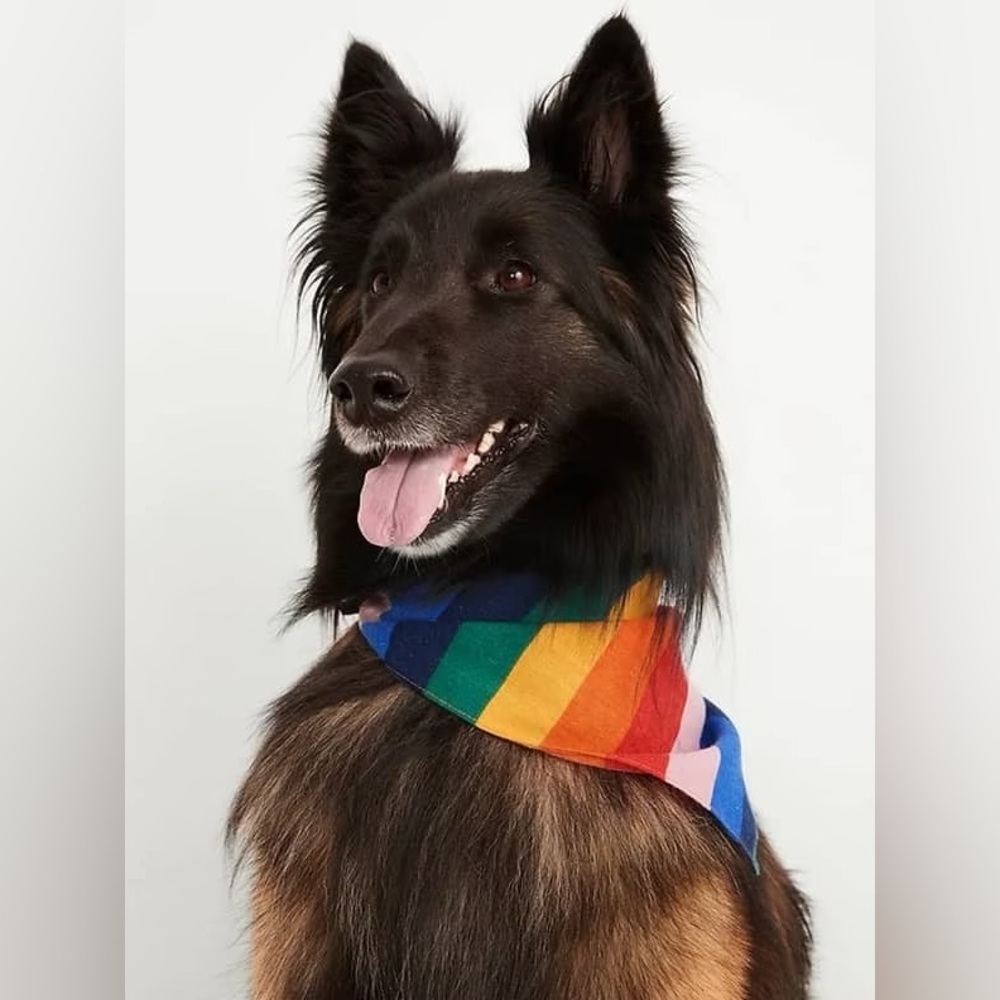 Dog Bandana